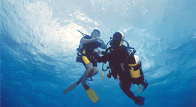 diving favignana