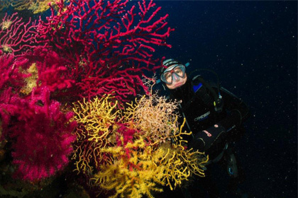 diving center favignana