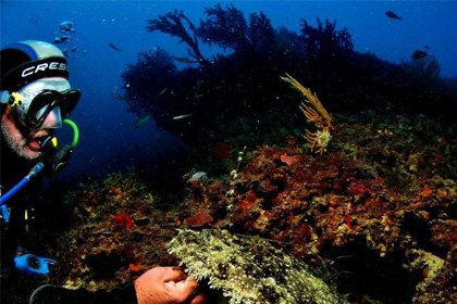 diving center favignana