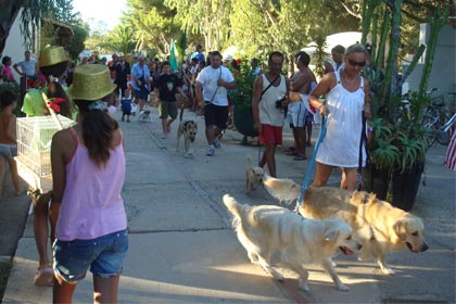 animazione camping egad